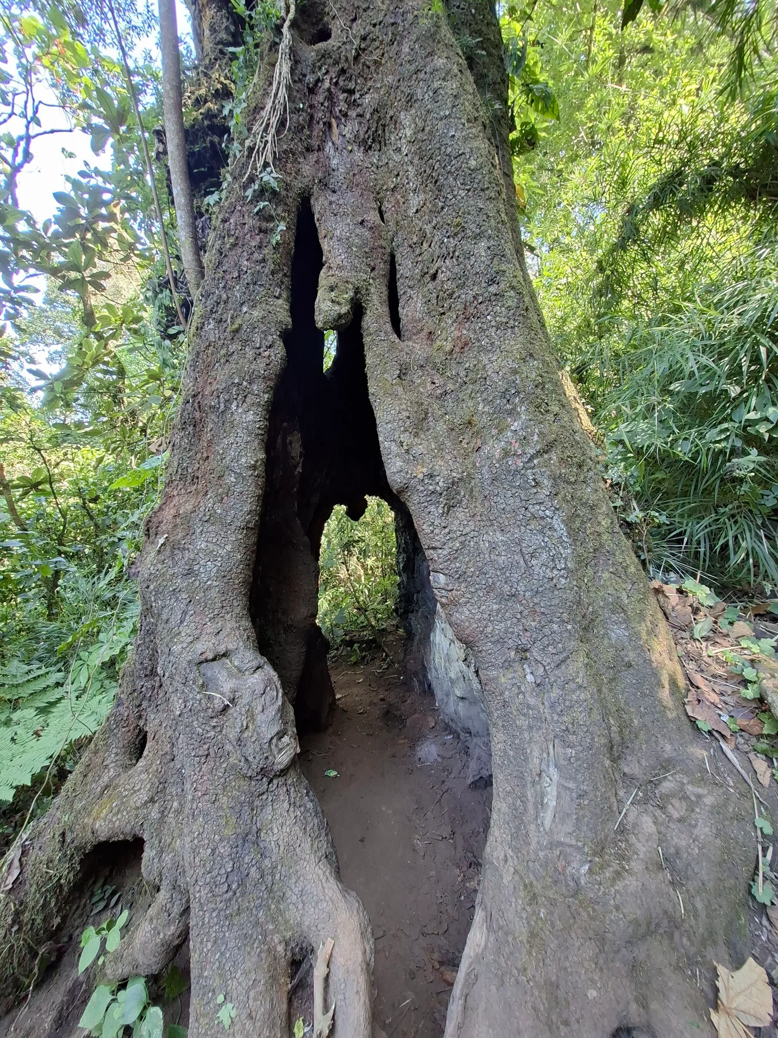 Corazón de Agua Hike