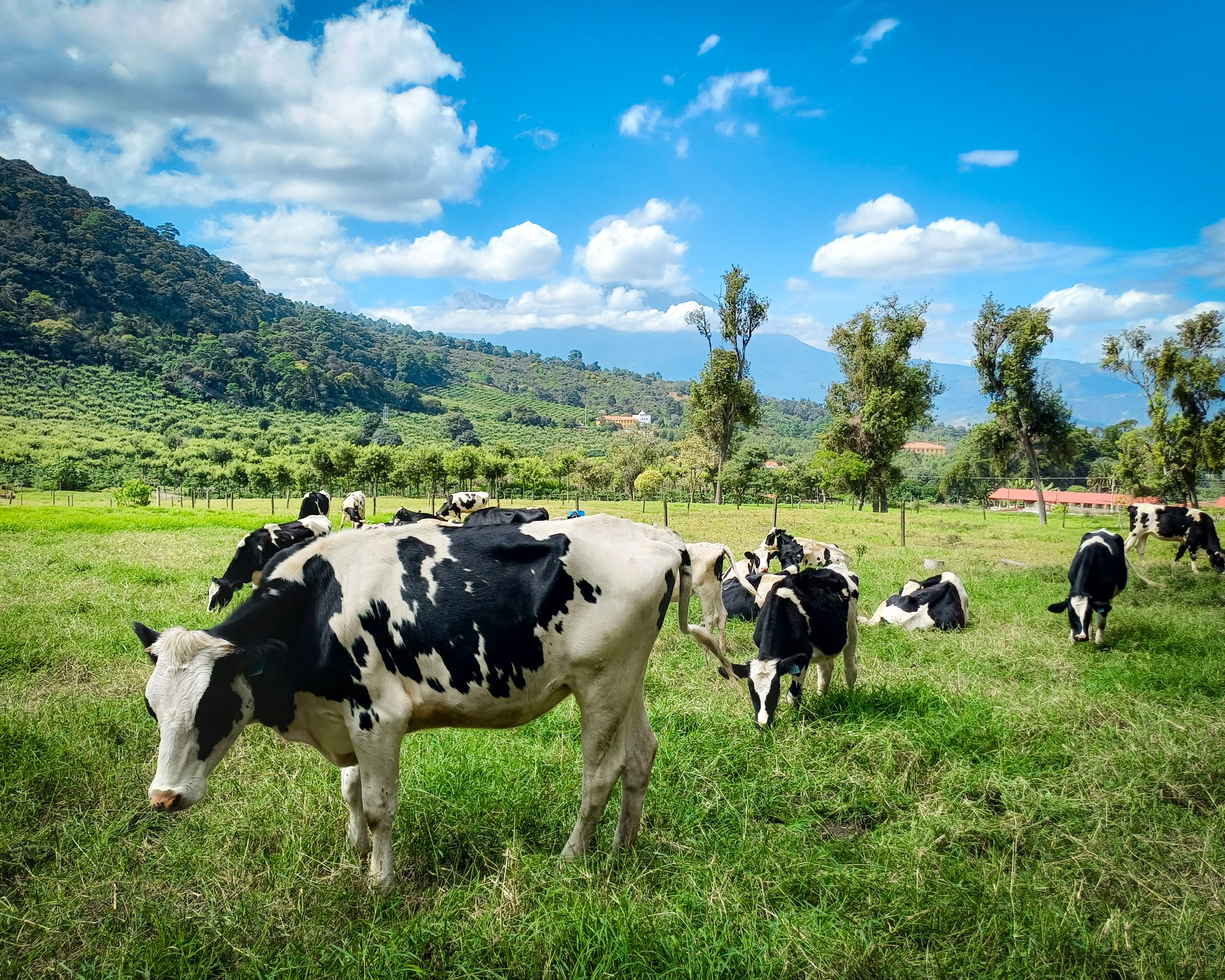 Carmona Trail Adventure