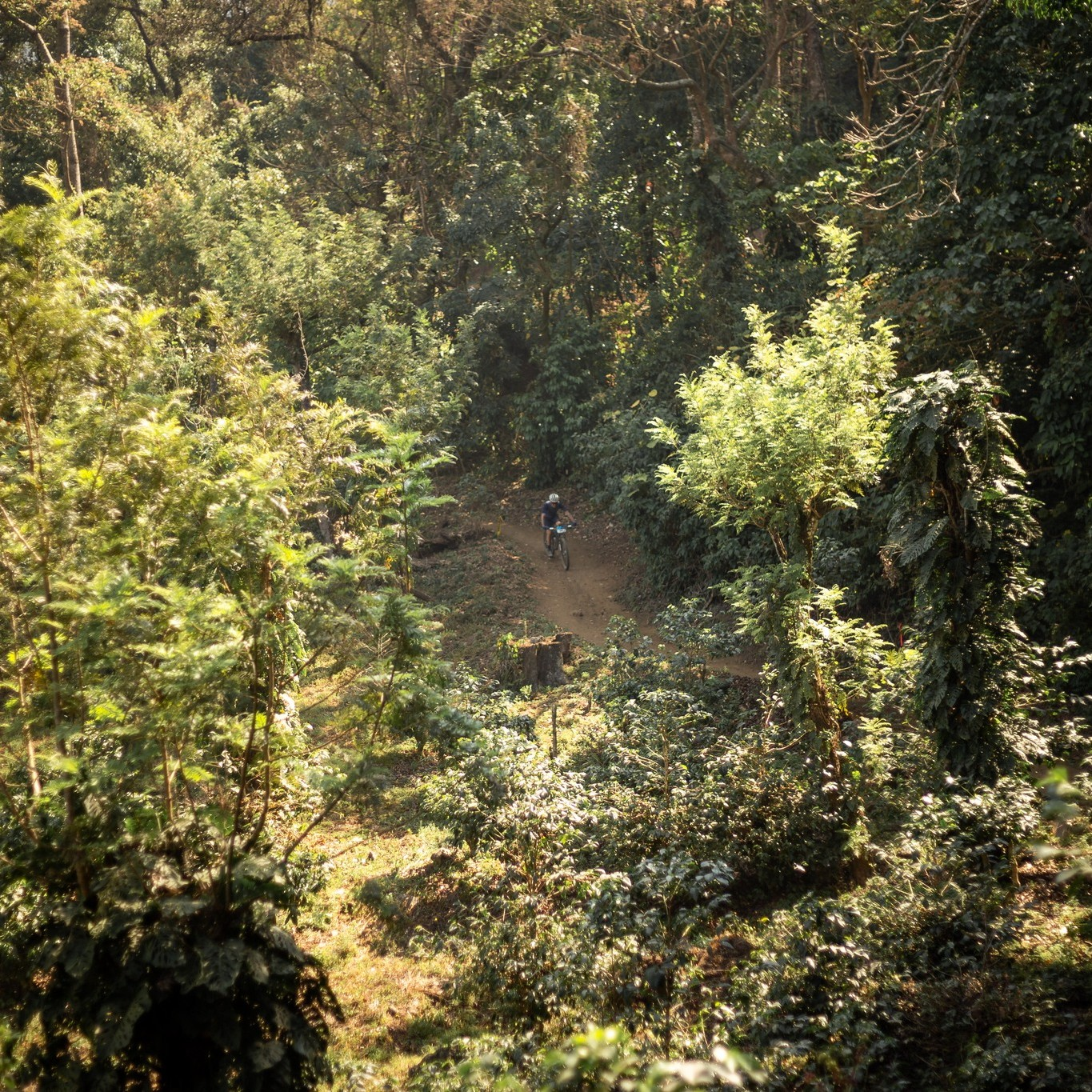 Carmona Trail Adventure