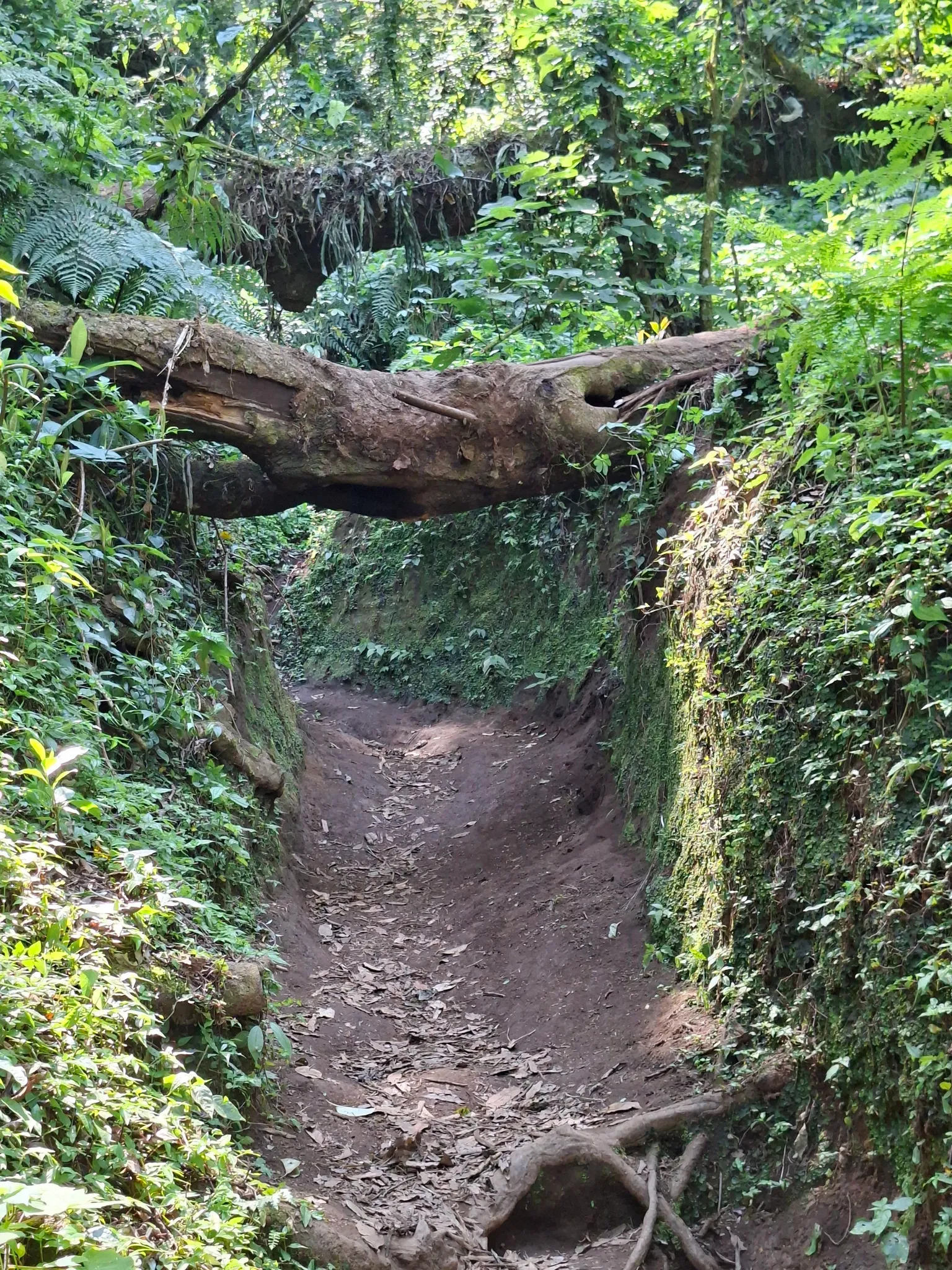 Corazón de Agua Hike