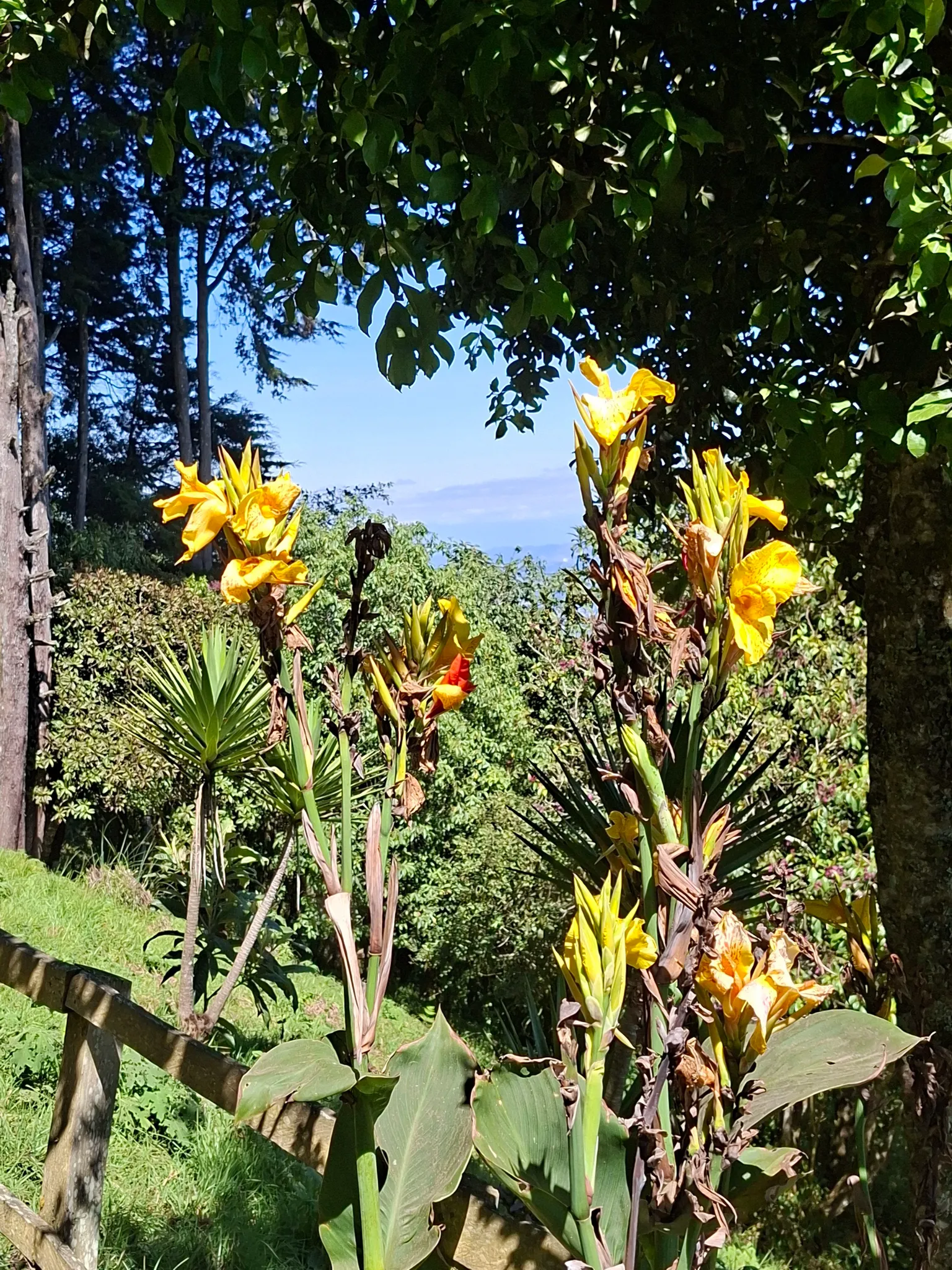 Corazón de Agua Hike