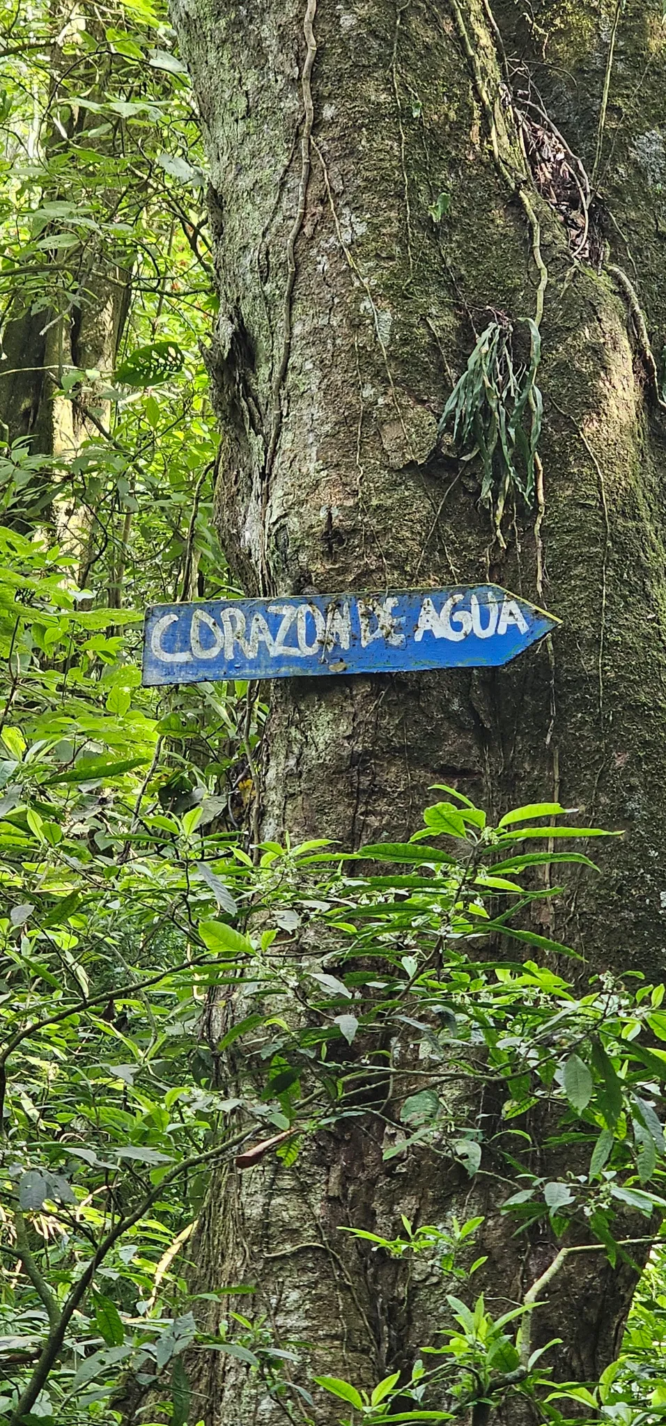 Corazón de Agua Hike