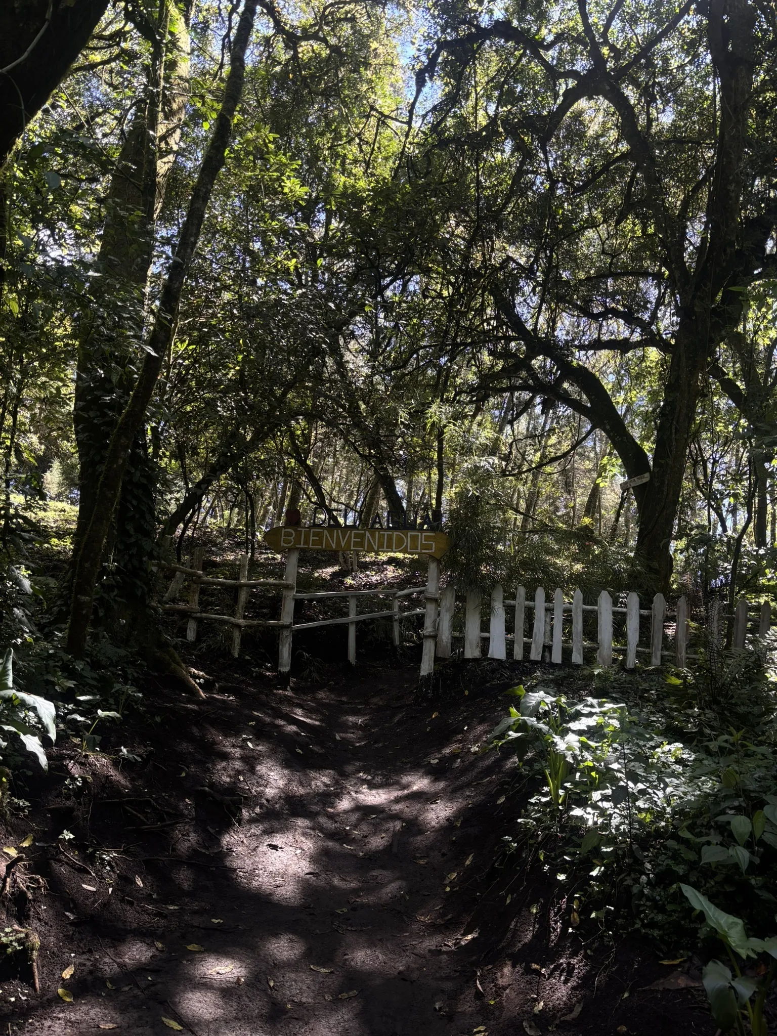 Corazón de Agua Hike