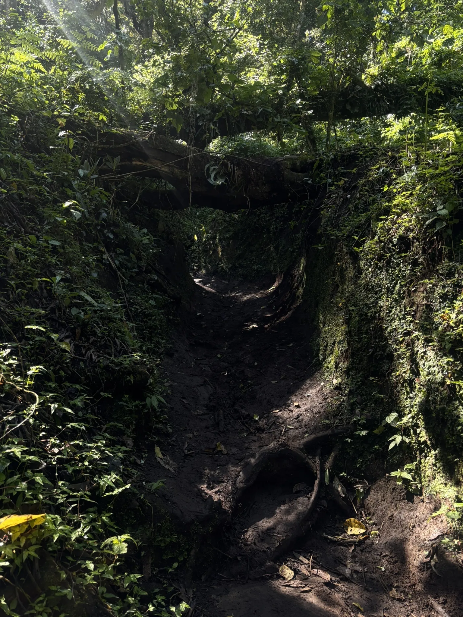 Corazón de Agua Hike