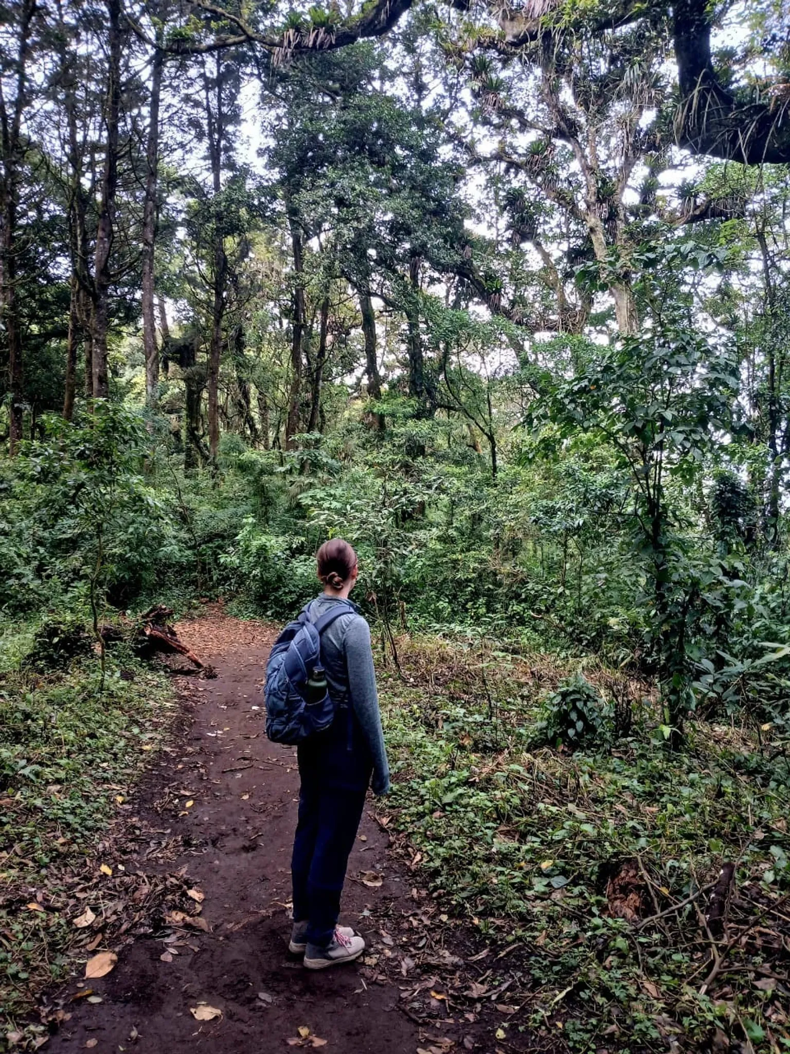 Corazón de Agua Hike