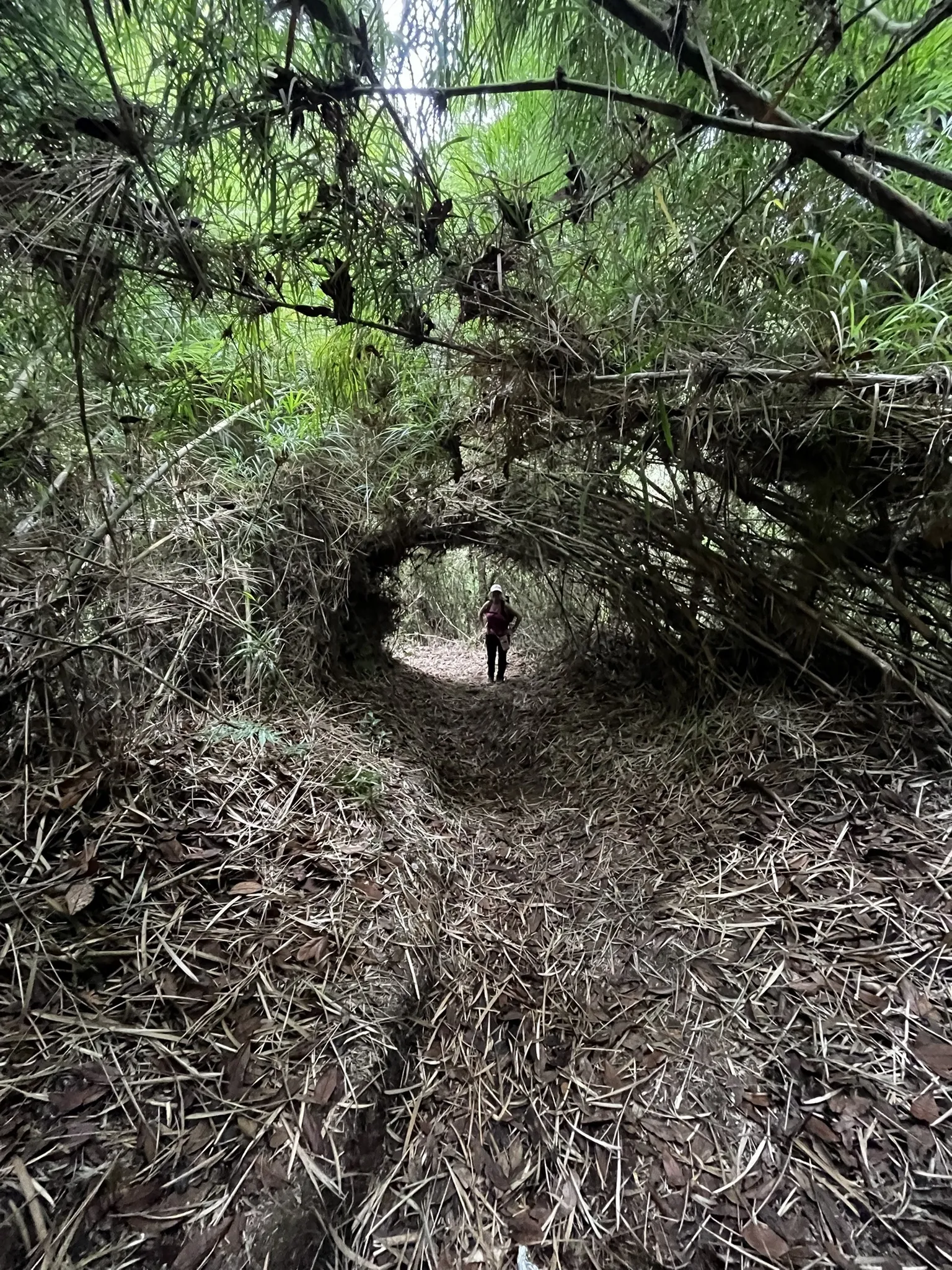 Corazón de Agua Hike