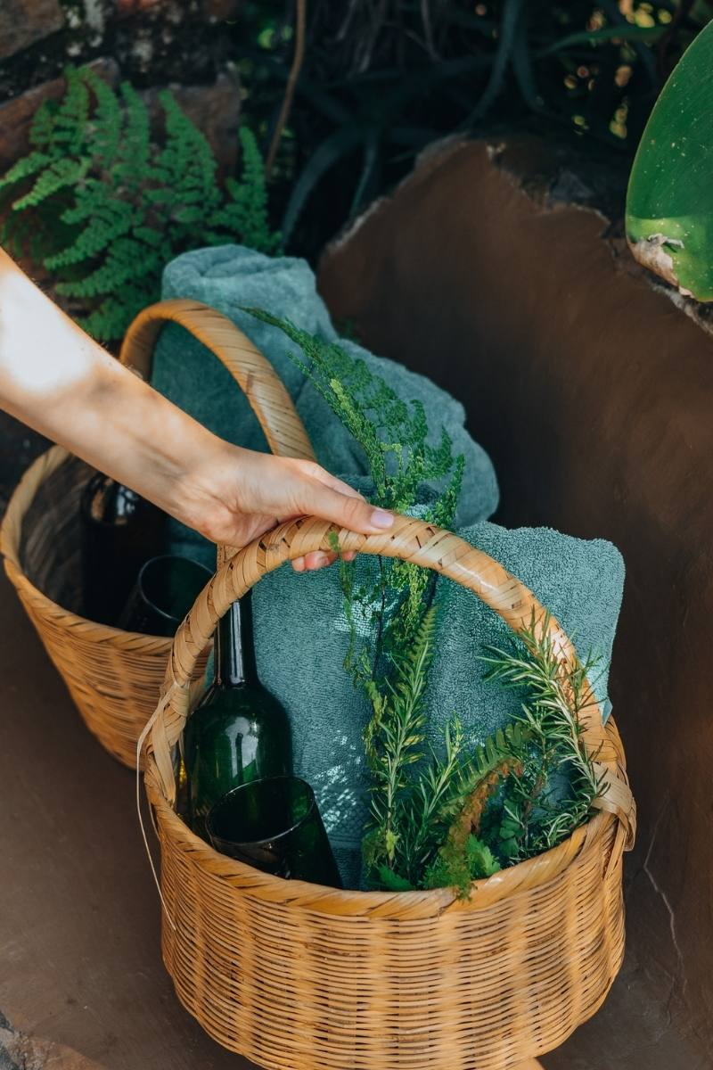 Temazcal & Ice Bath Experience