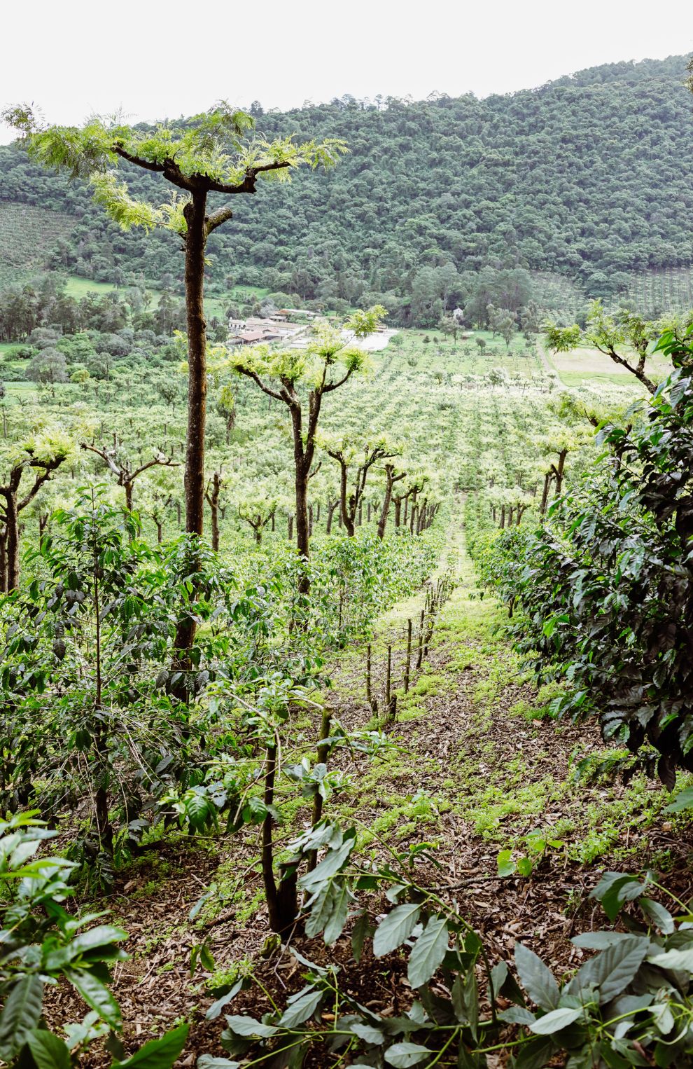 Carmona Trail Adventure