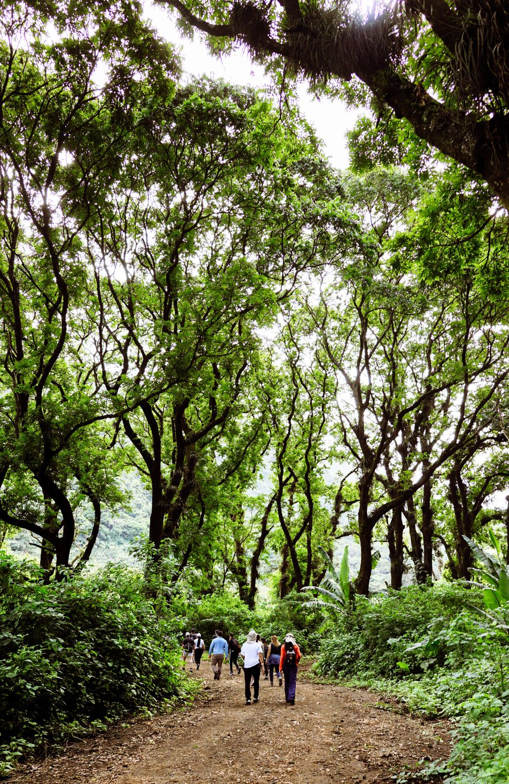 Carmona Trail Adventure