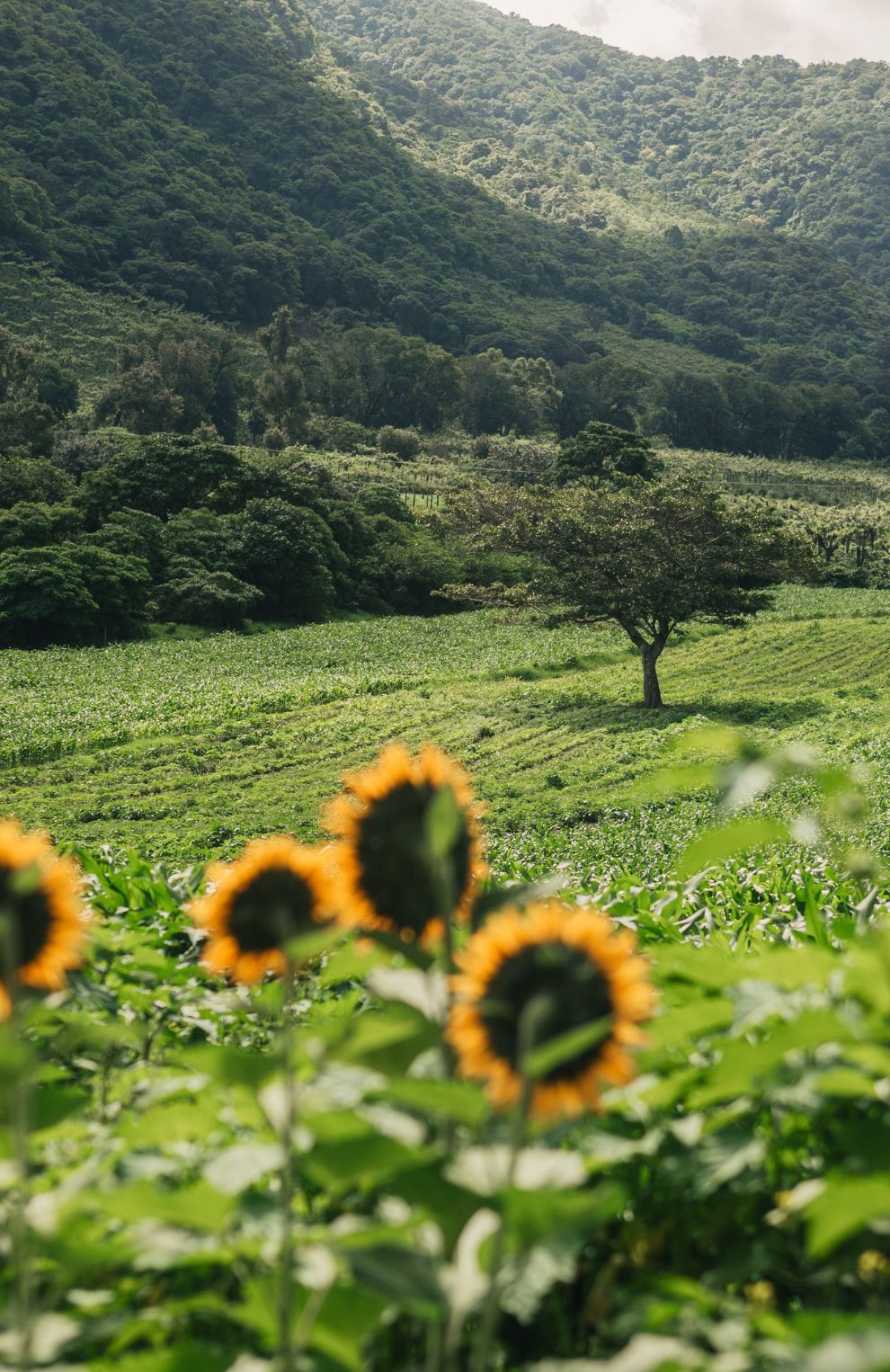 Carmona Trail Adventure