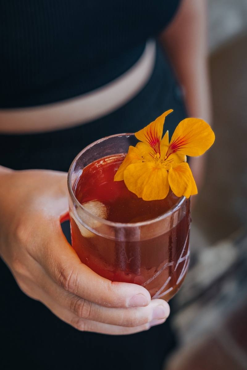 Temazcal & Ice Bath Experience