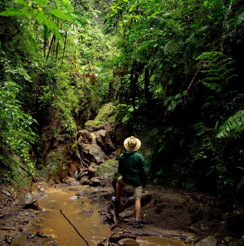 Waterfall Rappel Adventure – Private Tour